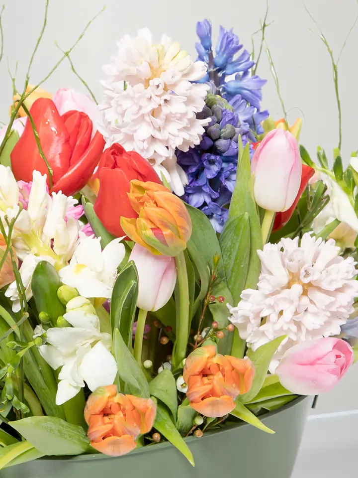 Composizione colorata di tulipani e giacinti macro